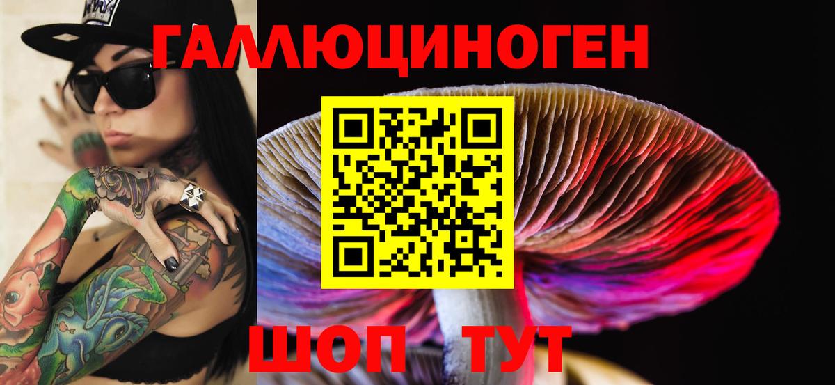 Галлюциногенные грибы Psilocybine cubensis Рославль